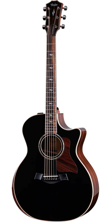 楽天市場】Taylor（テイラー）2023 Special Edition 814ce V-Class 