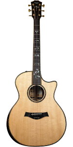 TaylorieC[j2023 Special Edition 914ce V-Class