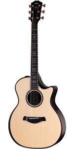 TaylorieC[jBuilder's Edition 914ce Natural