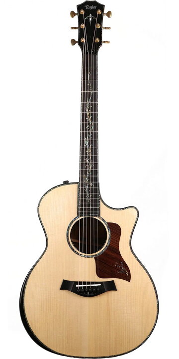 楽天市場】Taylor（テイラー）PS14ce Honduran Rosewood Natural 