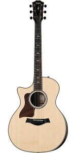 TaylorieC[j814ce V-Class Left-Handed