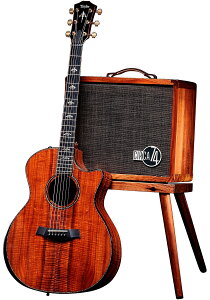 TaylorieC[j50th Anniversary 924ce-K LTD & Circa 74 Amp