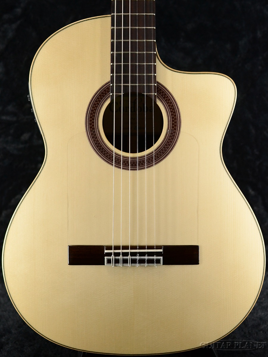 ギター コルドバ アコースティック エレガットの人気商品・通販・価格