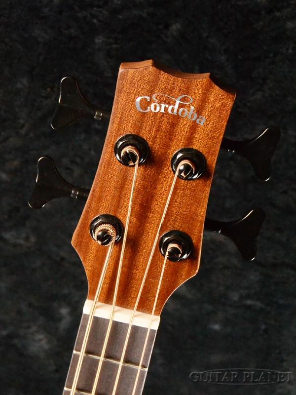 楽天市場】Cordoba Mini II Bass MH-E 新品 ミニアコースティック