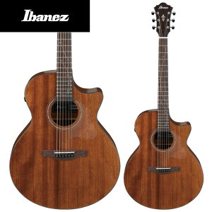 Ibanez AE295 - LGS ( Natural Low Gloss ) - 新品[アイバニーズ][Natural,ナチュラル][Cutaway,カッタウェイ][Electric Acoustic Guitar,エレアコ,エレクトリックアコースティックギター,フォークギター,Folk Guitar]