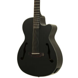 Aria FET-F2/BnG -BK(Black)-新品 [アリア][Fホール][ブラック][Acoustic Guitar,アコギ,アコースティックギター,エレアコ,Folk Guitar,フォークギター]