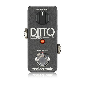 t.c.electronic DITTO LOOPER 新品 ルーパー[tcエレクトロニック][Effector,エフェクター]