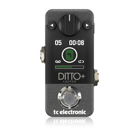 t.c.electronic DITTO+ LOOPER 新品 ルーパー[tcエレクトロニック][Effector,エフェクター]