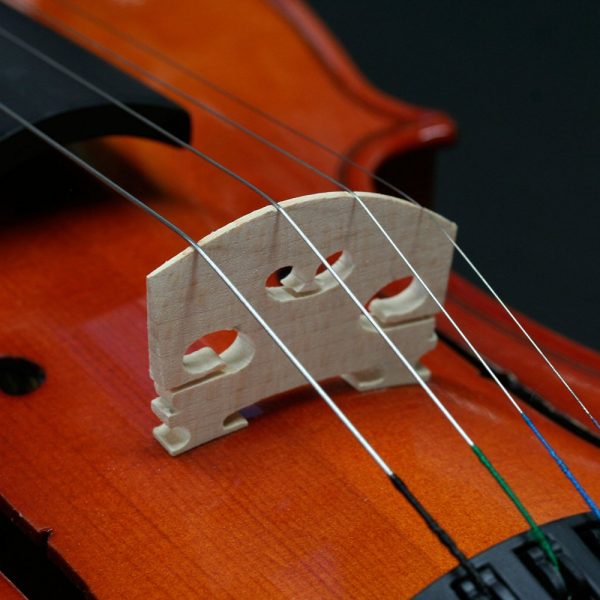 【楽天市場】【弓/松脂/ケース付】STENTOR SV-120 1/2 新品  バイオリンセット[ステンター][Violin,ヴァイオリン][初心者/入門用][分数]: ギタープラネットOnline