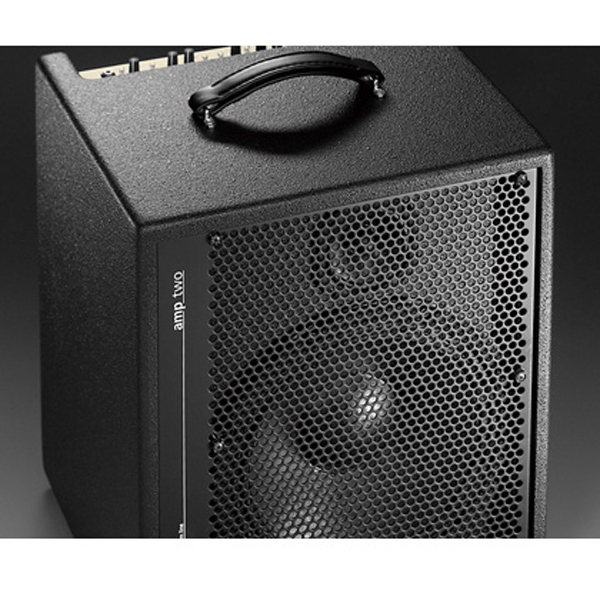 AER amp-two 新品[アコースティックベースアンプ/コンボ,Acoustic Bass combo amplifier]
