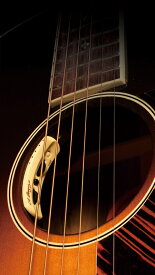 L.R.Baggs Anthem 新品 デュアルピックアップシステム[アンセム][Piezo Pickup][Acoustic Guitar,アコースティックギター]