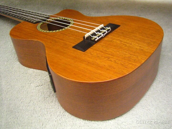 楽天市場】Cordoba 20TM-CE 新品 テナーウクレレ[コルドバ][Mahogany 