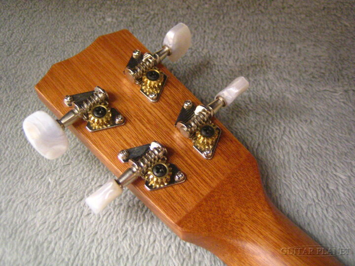 楽天市場】Cordoba 20TM-CE 新品 テナーウクレレ[コルドバ][Mahogany 
