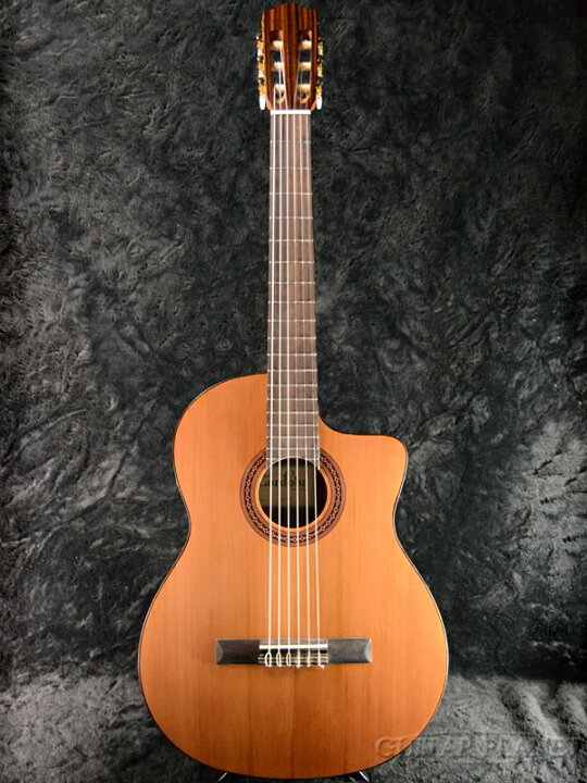 楽天市場】Cordoba C5-CE NAT 新品[コルドバ][Natural,ナチュラル 