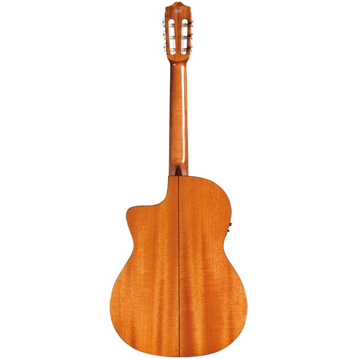 楽天市場】Cordoba C5-CE SP 新品[コルドバ][Classical Guitar 
