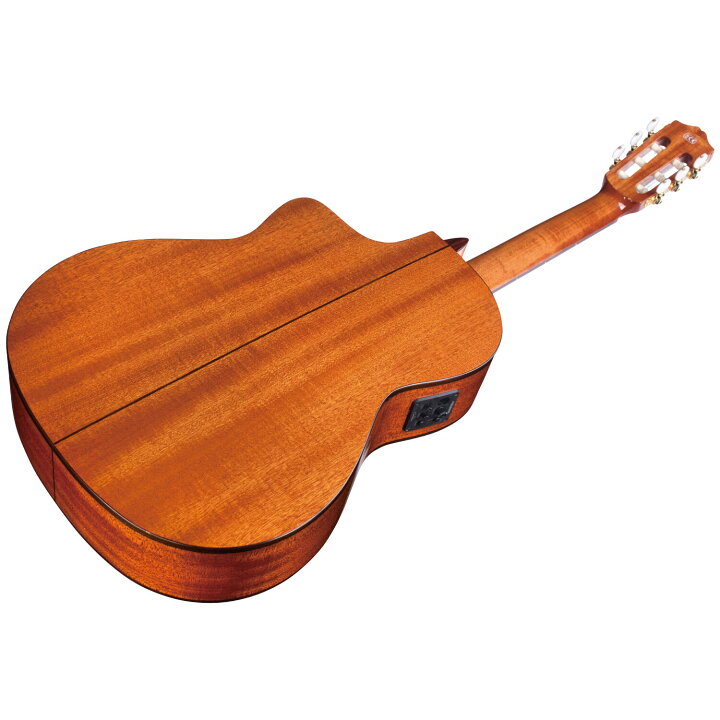 楽天市場】Cordoba C5-CE SP 新品[コルドバ][Classical Guitar 