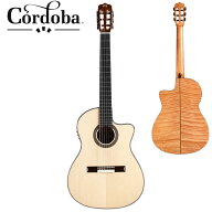 Cordoba / Fusion 14 Maple / 新品[コルドバ][ピックアップ搭載][Natural,ナチュラル][Classical Guitar,…