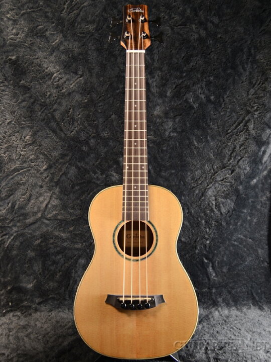 楽天市場】Cordoba Mini II Bass EB-E 新品 ミニアコースティック 