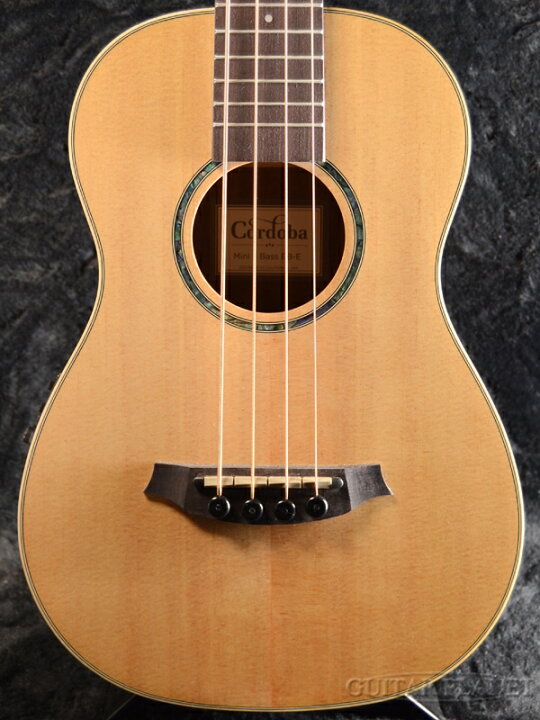 楽天市場】Cordoba Mini II Bass EB-E 新品 ミニアコースティック 