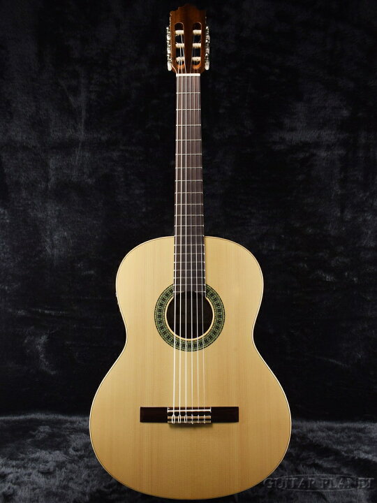 楽天市場】Paco Castillo パコ・カスティージョ 201NE Spruce 新品 
