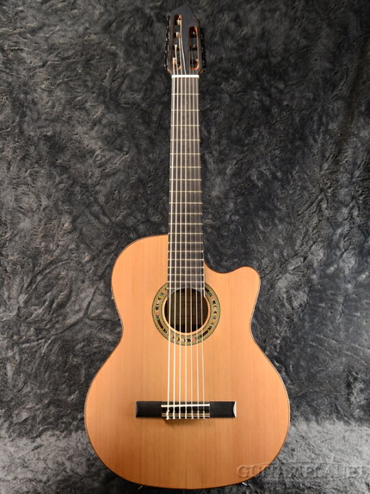 楽天市場】Orpheus Valley Guitars F65CW-7S 新品[オルフェウス 