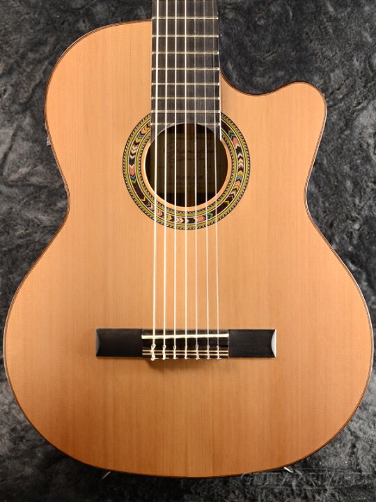 楽天市場】Orpheus Valley Guitars F65CW-7S 新品[オルフェウス 