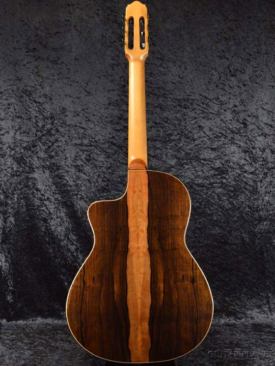 楽天市場】Tears Model F.14 新品[ティアーズ][スペイン製][Classical 