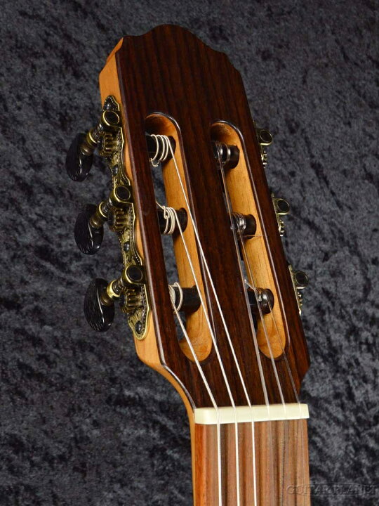 楽天市場】Tears Model F.14 新品[ティアーズ][スペイン製][Classical 