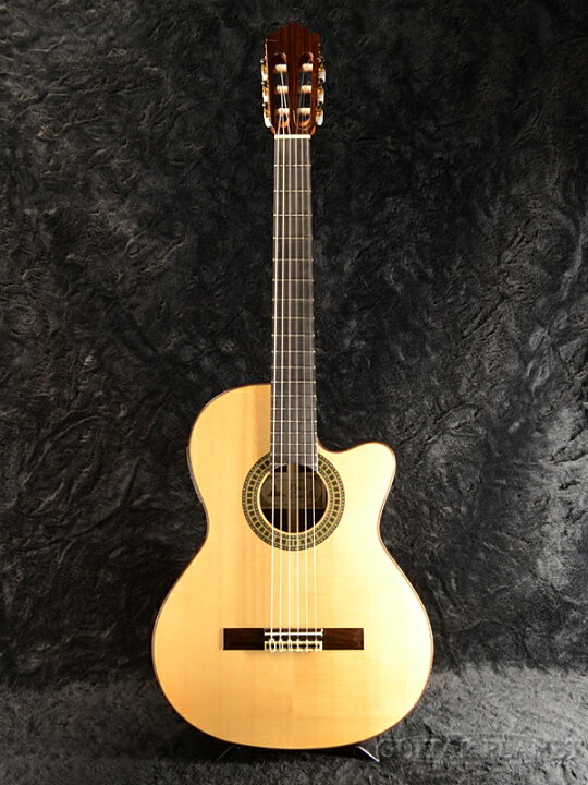 楽天市場】Paco Castillo 234TE Spruce NarrowNeck 新品[パコ 