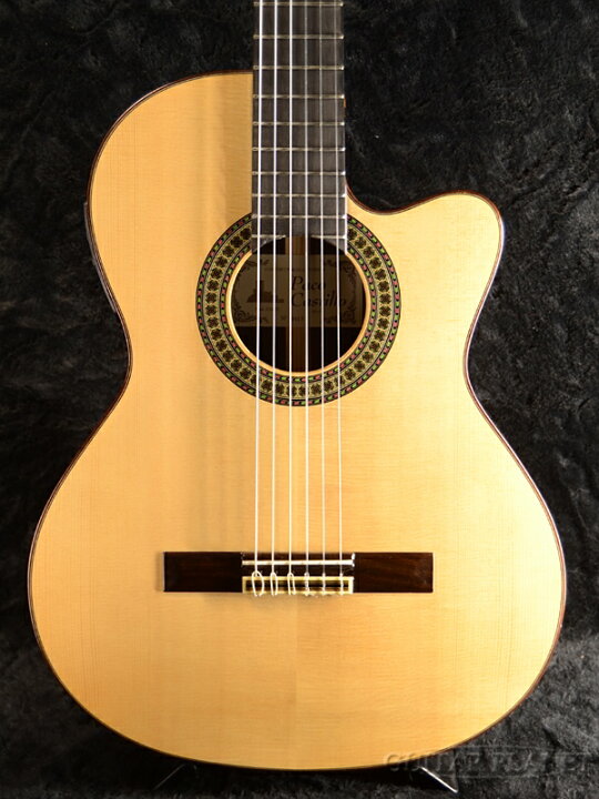 楽天市場】Paco Castillo 234TE Spruce NarrowNeck 新品[パコ 
