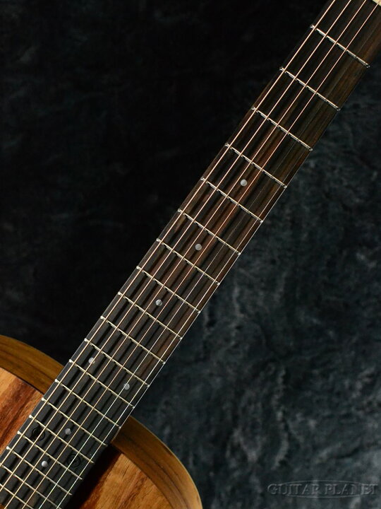 楽天市場】Taylor Baby Taylor E-Koa 新品[ベイビーテイラー][コア 