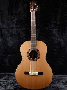 Paco Castillo pREJXeB[W 203NE Cedar Vi [Classical Guitar,NVbNM^[,GKbg]