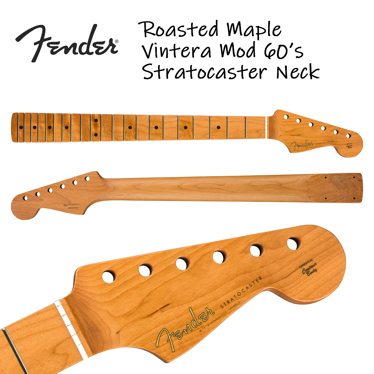 楽天市場】Fender Roasted Maple Vintera Mod 60's Stratocaster Neck