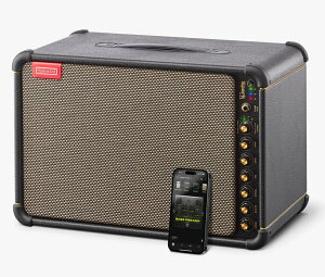 �y�v�����[�V��������!!�zPositive Grid / Spark LIVE �V�i �A���v[�|�W�e�B�u�O���b�h][150W][Bass,Guitar Amplifier]