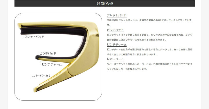 楽天市場】Thalia Capos Exotic Shell DRAGON ABALONE -24K Gold 新品 