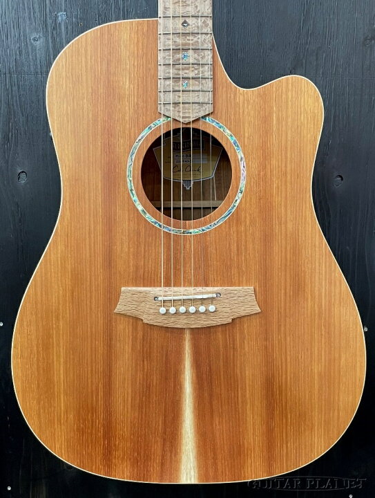 楽天市場】Cole Clark CCFL2EC-BLBL ~All Blackwood~ #220941633 