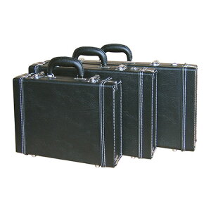 GID EFH-101 BK Vi GtFN^[P[X[{y][Black,ubN,][Effector Case,GtFN^[{[h]