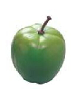 PLAY WOOD Music Shaker "Fruits" FS-RAP S Vi[vCEbh][Shaker,VF[J[,VFCJ[][my]