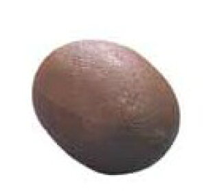 PLAY WOOD Music Shaker "Fruits" FS-KWI LEC Vi[vCEbh][Shaker,VF[J[,VFCJ[][my]