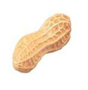 PLAY WOOD Music Shaker "Fruits"FS-PN s[ibc Vi[vCEbh][Shaker,VF[J[,VFCJ[][my]