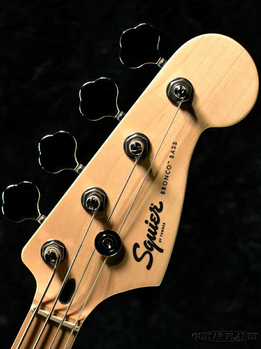 楽天市場】Squier Sonic Bronco Bass -Arctic White- 新品[スク 