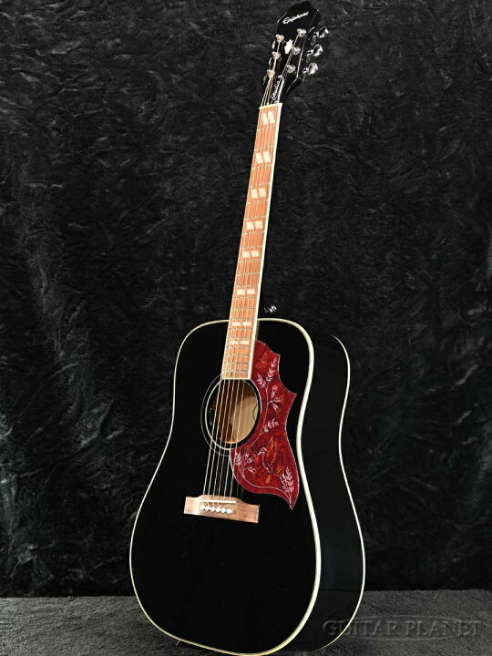 楽天市場】Epiphone Hummingbird Studio -Ebony Black 新品[エピフォン 