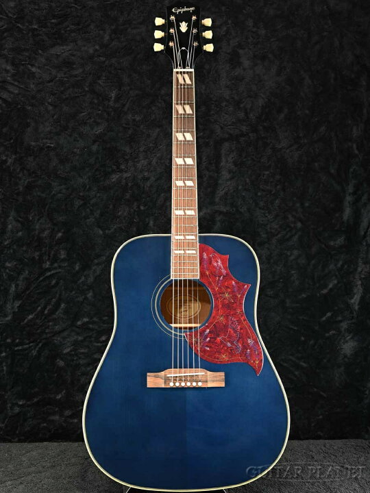 楽天市場】Epiphone / Miranda Lambert Bluebird Studio -Bluebonnet 