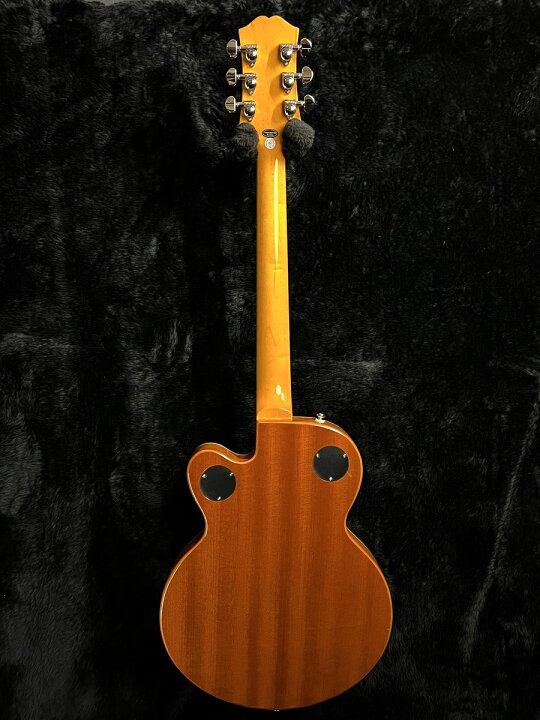 楽天市場】Epiphone Wildkat -Antique Natural- 新品[エピフォン 