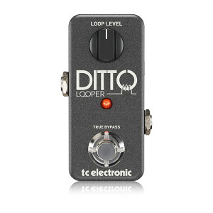 t.c.electronic DITTO LOOPER Vi [p[[tcGNgjbN][Effector,GtFN^[]
