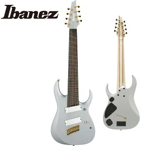 Ibanez RGDMS8 -CSM(Classic Silver Matte)- Vi[ACoj[Y][Electric Guitar,GLM^[][Axe Design Lab,AbNXfUC{][8strings,8][Multi Scale,}`XP[,t@tbg]