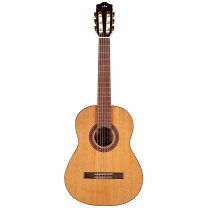 楽天市場】cordoba mini 2の通販