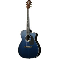 楽天市場】ヘッド ウェイ ギター ケース（楽器・音響機器）の通販