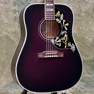 Gibson / Hummingbird Standard -Purple Burst- #22385005 / �V�i[�M�u�\��][�p�[�v��][�p�[�v���o�[�X�g][Acoustic Guitar,�A�R�[�X�e�B�b�N�M�^�[,�A�R�M,Folk Guitar,�t�H�[�N�M�^�[][�G���A�R]�y�����摜�z