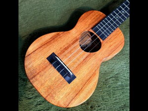 �y���i�摜�zKoAloha KCM-00 Concert �y�R���T�[�g/�n���C�A���R�A�z�y�M���y�O�d�l�z�y�������z